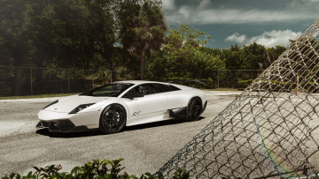 Картинка автомобили lamborghini murcielago sv