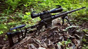 обоя оружие, снайперская винтовка, двл-10, м2, урбана