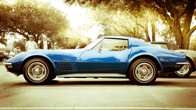 Обои картинки фото автомобили, corvette, chevrolet, stingray