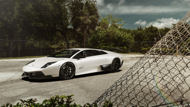 Обои картинки фото автомобили, lamborghini, murcielago, sv