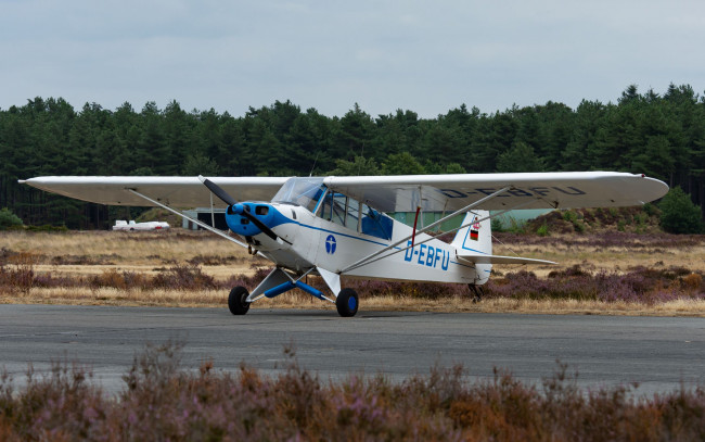 Обои картинки фото авиация, лёгкие одномоторные самолёты, самолет