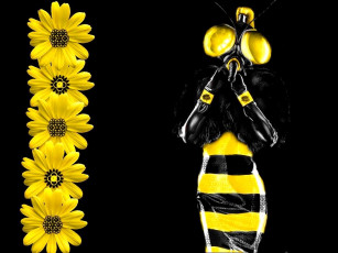 обоя beeez, lady, юмор, приколы