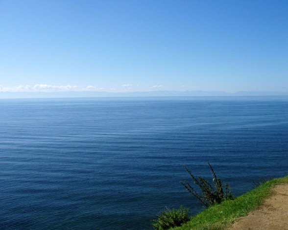 Обои картинки фото 