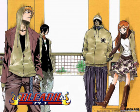 Картинка аниме bleach