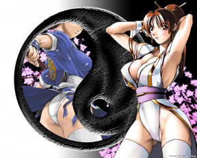 Картинка аниме dead or alive