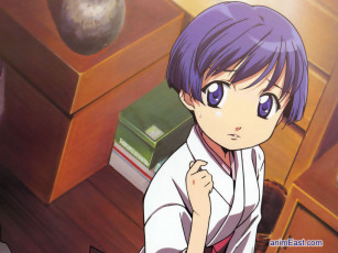 Картинка аниме ai yori aoshi