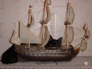 Картинка Чудовище морское животные коты