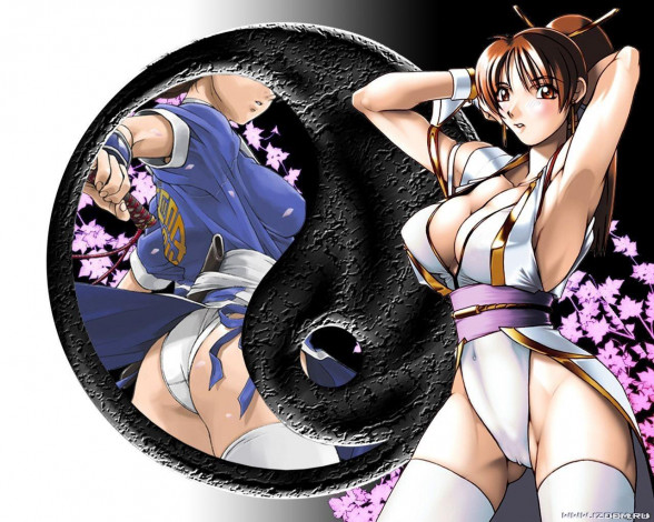 Обои картинки фото аниме, dead, or, alive