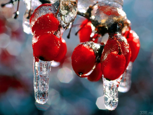 Обои картинки фото 