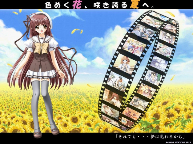 Обои картинки фото аниме, shuffle