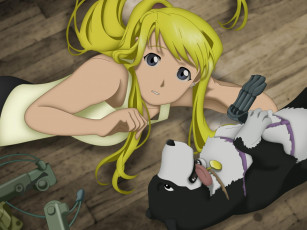 Картинка аниме fullmetal alchemist