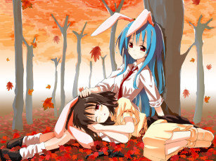 Картинка аниме touhou