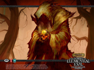 обоя the, temple, of, elemental, evil, видео, игры