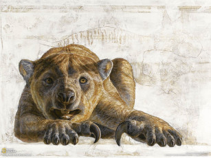 Картинка рисованные животные