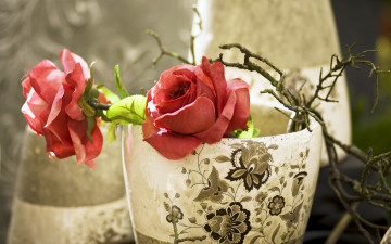 Картинка цветы розы