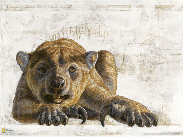 Обои картинки фото рисованные, животные