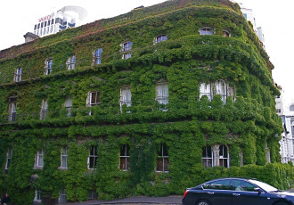 Картинка auckland new zealand города здания дома