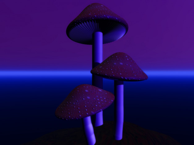 Обои картинки фото 3д, графика, nature, landscape, природа, грыбы, сирий