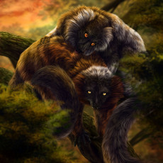 Картинка рисованные животные лемуры