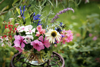 Картинка цветы букеты композиции ваза эхинацея бальзамины
