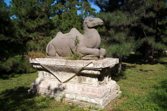 обоя разное, рельефы, статуи, музейные, экспонаты, верблюд