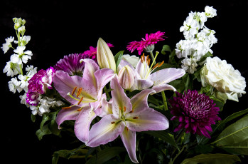 Картинка цветы разные вместе лилии левкой герберы хризантемы роза гвоздика