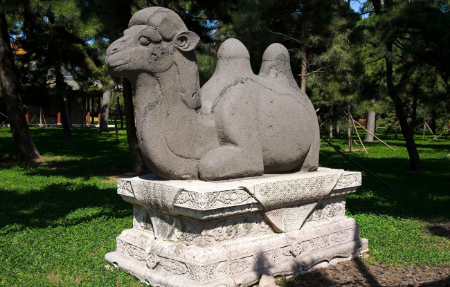 Обои картинки фото разное, рельефы, статуи, музейные, экспонаты, верблюд