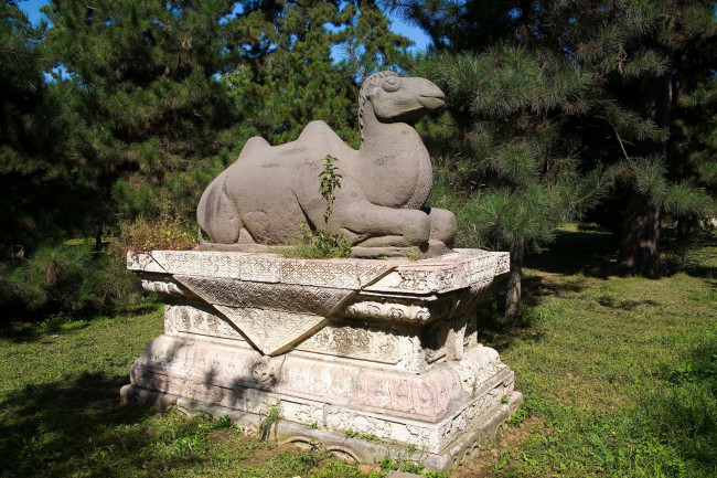 Обои картинки фото разное, рельефы, статуи, музейные, экспонаты, верблюд