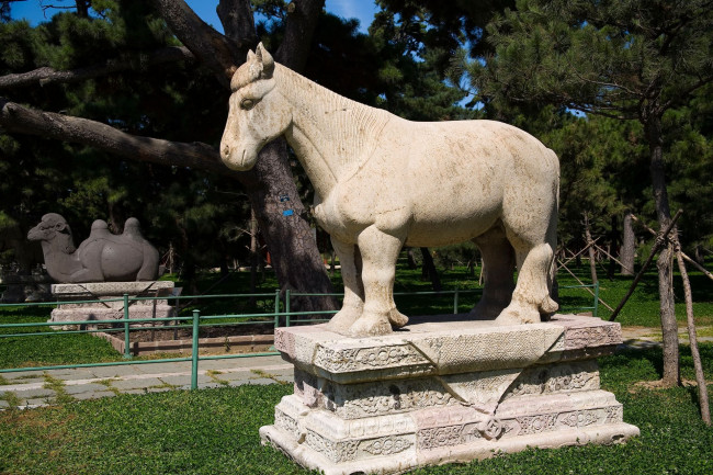 Обои картинки фото разное, рельефы, статуи, музейные, экспонаты, лошадь