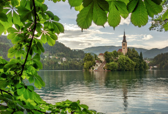 Картинка города блед словения каштан вода церковь
