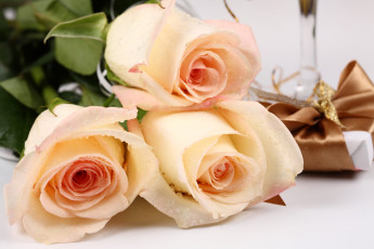 Картинка цветы розы бант коробка