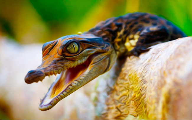 Обои картинки фото разное, компьютерный, дизайн, малыш, крокодильчик