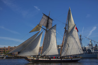 Картинка lynx корабли парусники шхуна парусная