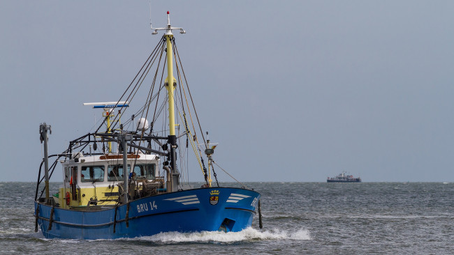 Обои картинки фото корабли, другое, траулер