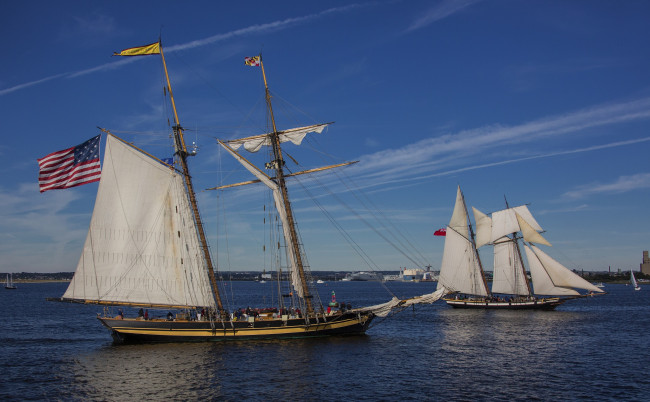 Обои картинки фото корабли, парусники, паруса, регата