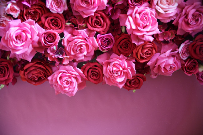 Обои картинки фото разное, ремесла,  поделки,  рукоделие, leaves, petals, bud, rose, цветение, листья, лепестки, бутон, роза, blossoms