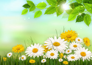 Картинка разное компьютерный+дизайн трава ромашки рисунок компьютерный дизайн листья