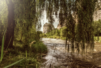 Картинка природа реки озера река лес