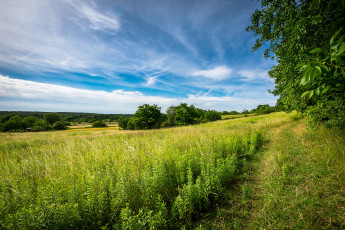Картинка природа дороги трава поле тропинка лес