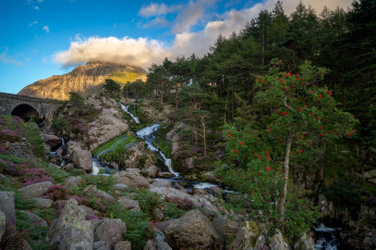 Картинка природа реки озера река лес горы