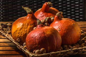 Картинка еда тыква орехи