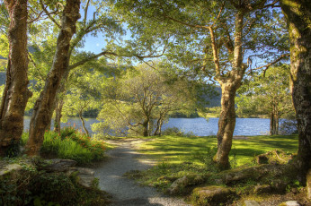 Картинка природа дороги лес река тропинка