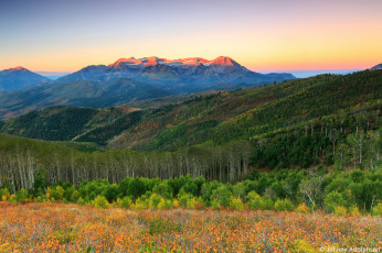 Картинка природа горы деревья небо