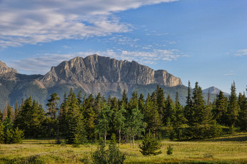 Картинка природа горы гора поле лес