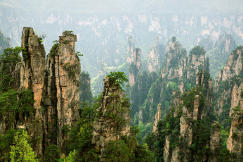 Картинка природа горы пики скалы сосны