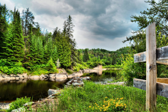 Картинка природа реки озера лес река