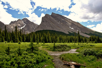 Картинка природа реки озера речка горы лес