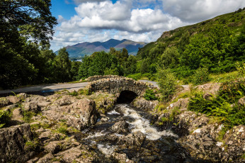 Картинка природа реки озера река лес