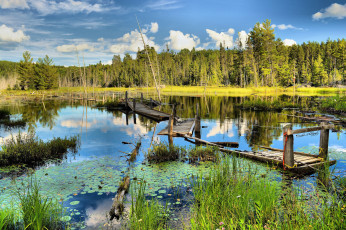 Картинка природа реки озера река лес