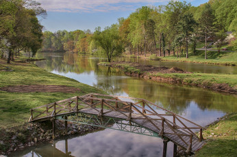 Картинка природа реки озера река лес